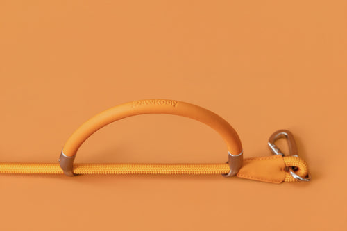 DualGrip Adjustable Leash