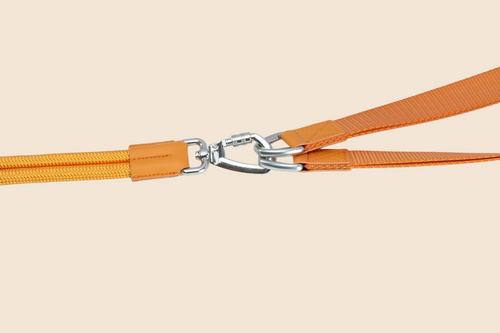 DualFlex Leather Multi-Dog Leash Set